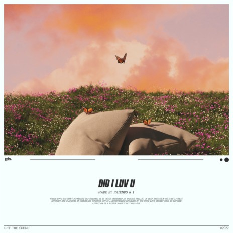 Did I Luv U | Boomplay Music