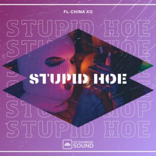 Stupid Hoe