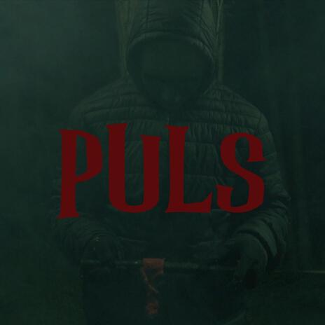 Puls | Boomplay Music