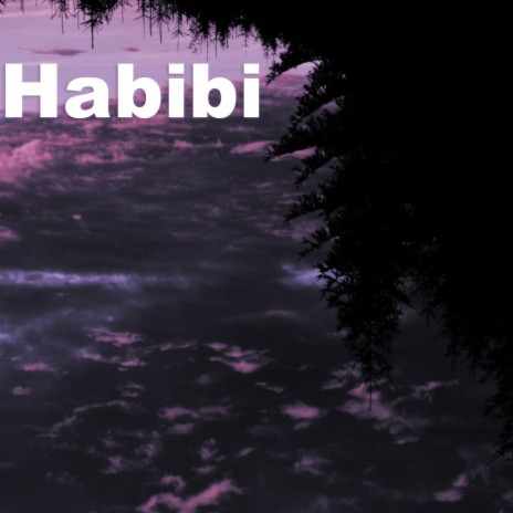 Habibi (Original Motion Pictufe Soundtrack) | Boomplay Music