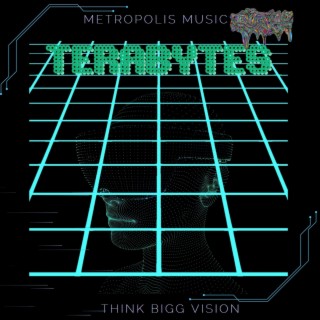 METROPOLIS MUSIC TERABYTES