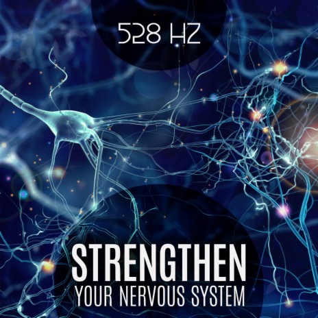 Strengthening the Nervous System ft. Meditation Music!