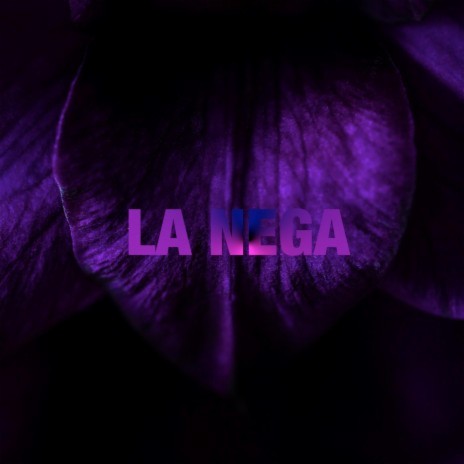 LA NEGA | Boomplay Music