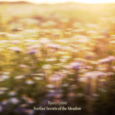 Further Secrets of the Meadow | Boomplay Music