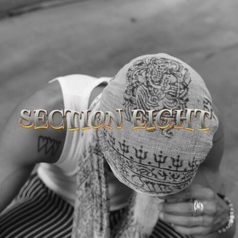 section eight | Boomplay Music