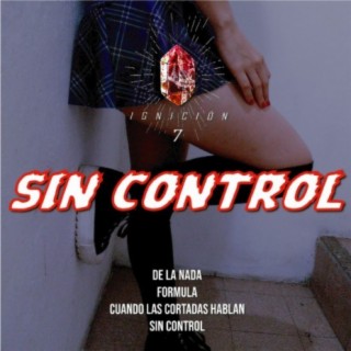 Sin Control