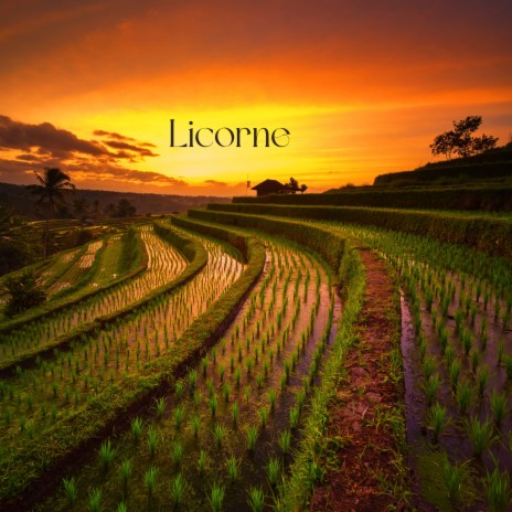 Licorne | Boomplay Music