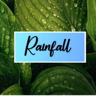 Rainfall