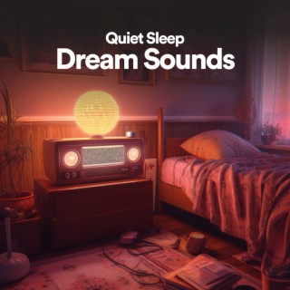 Quiet Sleep Dream Sounds