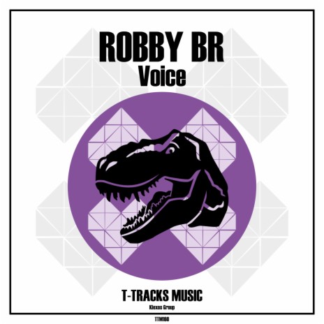 Voice (Original Mix) | Boomplay Music