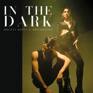 In The Dark ft. Kris Kollins lyrics | Boomplay Music