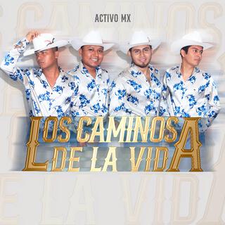 Los caminos de la vida