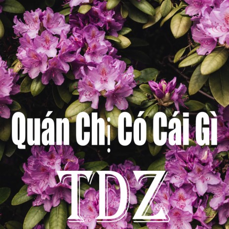 Quán Chị Có Cái Gì (Remix) ft. TDZ Music Group | Boomplay Music