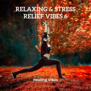 Relaxing & Stress relief Vibes 6
