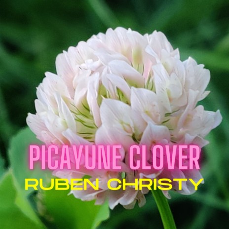 Picayune Clover | Boomplay Music