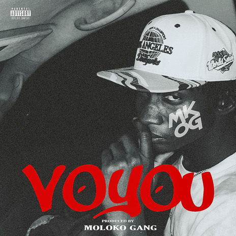 Voyou | Boomplay Music