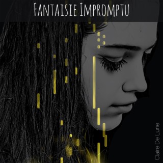 Fantaisie Impromptu