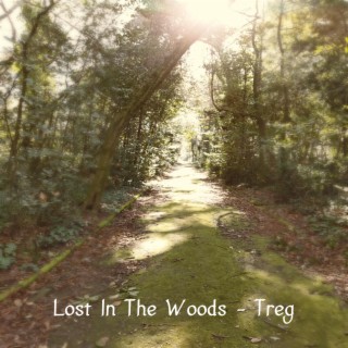 Lost In The Woods