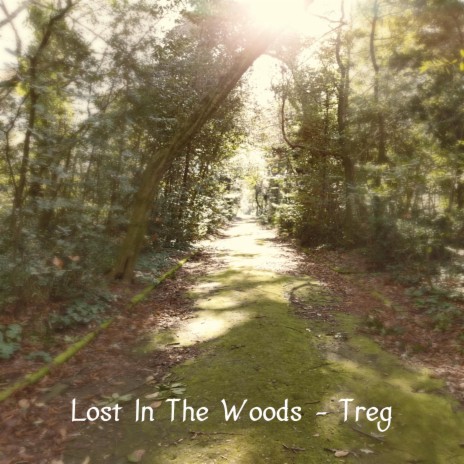 Lost In The Woods | Boomplay Music