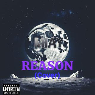 Reason (Radio Edit)