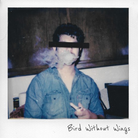 Bird Without Wings