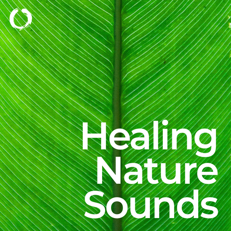 Relaxing Meadow Sounds ft. Buddha Zen Trance Chillout Trip & Healing Power Natural Sounds Oasis | Boomplay Music