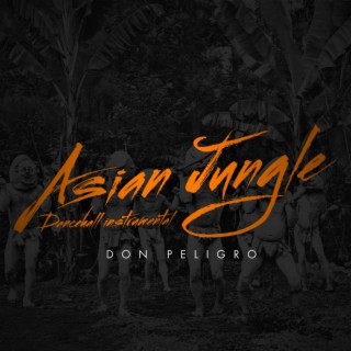 Asian Jungle Dancehall Instrumental