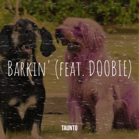 Barkin' ft. DOOBIE | Boomplay Music