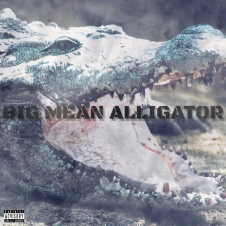 Big Mean Alligator | Boomplay Music