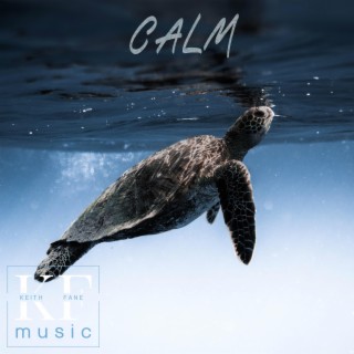 Calm - Music for Deep Concentration