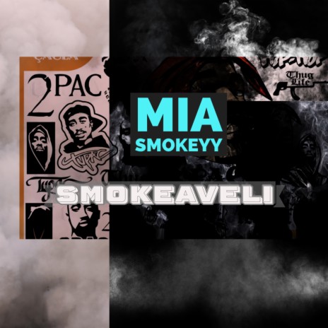 Smokeaveli (Freestyle) | Boomplay Music