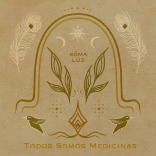 Todos Somos Medicinas ft. Zin Onyx, Ashana Sophia, Paulina Prana, Udaya Bryce & Roland Wittel lyrics | Boomplay Music