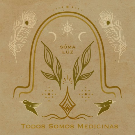 Todos Somos Medicinas ft. Zin Onyx, Ashana Sophia, Paulina Prana, Udaya Bryce & Roland Wittel | Boomplay Music