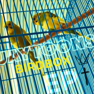 ➵ BirdBox EP ⬹