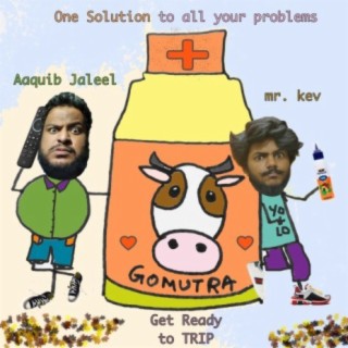 Gomutra (feat. Aaquib Jaleel)