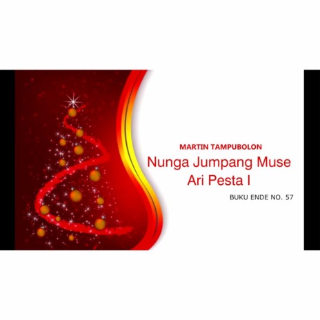 Nunga Jumpang Muse Ari Pesta I | Boomplay Music