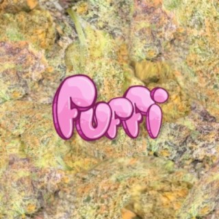 Fuffi Kush