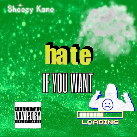 Hate If You Want | Boomplay Music