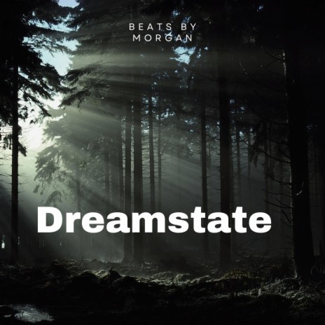 Dreamstate | Boomplay Music