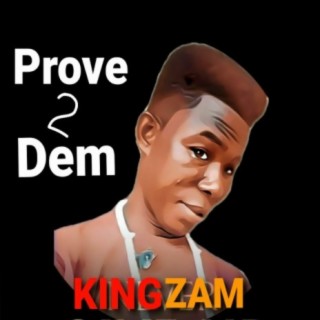 Prove 2 dem