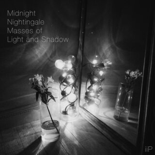 Midnight Nightingale Masses of Light and Shadow