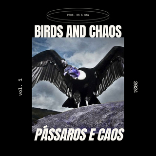 Pássaros e Caos (Bird and Chaos)