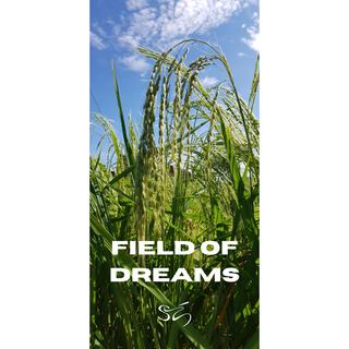 Field of Dreams