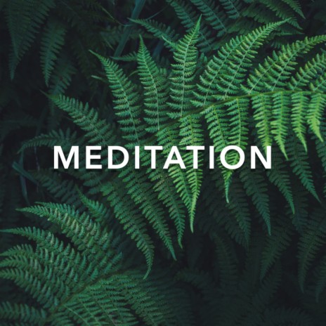 Meditate (Original Mix)