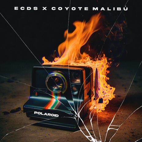 Polaroid ft. Coyote Malibú | Boomplay Music