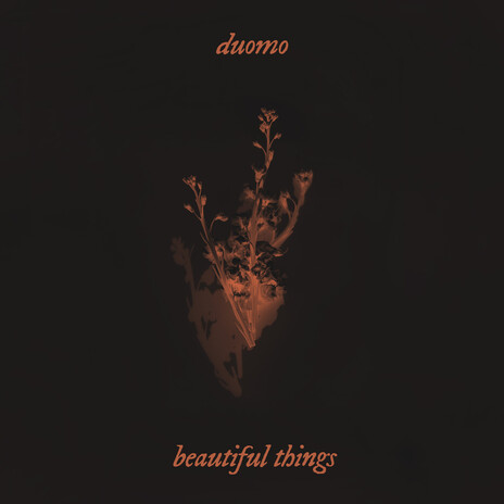 Beautiful Things | Boomplay Music