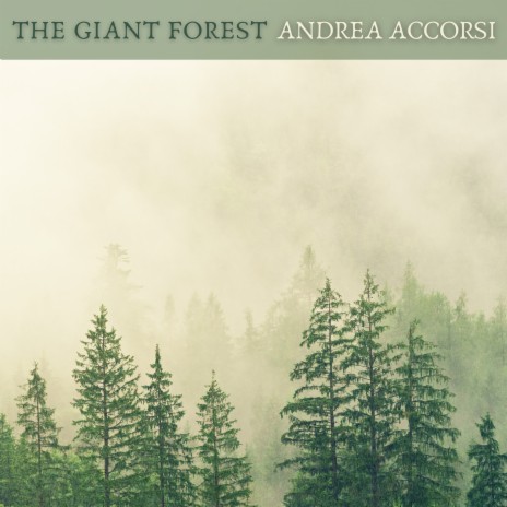 The Giant Forest | Boomplay Music