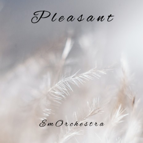 Pleasant | Boomplay Music