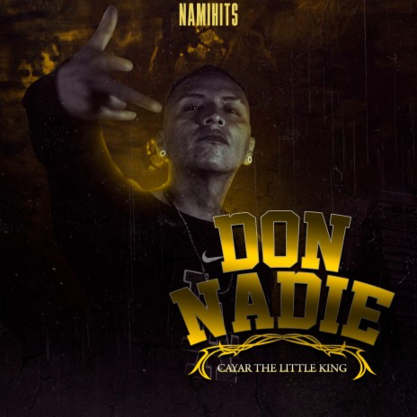 Don Nadie ft. NamiHits | Boomplay Music