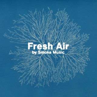 Fresh Air ft. Neri & Pardo lyrics | Boomplay Music